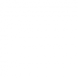 TMT Pickled Garlic/12x700g