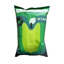 Champy Apple Chips Granny Delicious/30x25g