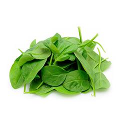 VEGETABLES - SPINACH BABY 2 LBS