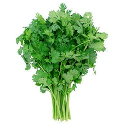 VEGETABLES - CILANTRO REPACK 3EA 3 EA