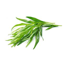 EGETABLES - TARRAGON REPACK 3EA